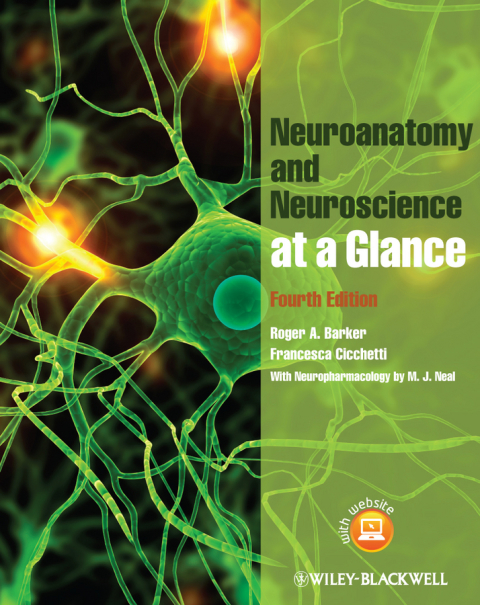 Cover image for book Neuroanatomy and Neuroscience at a Glance