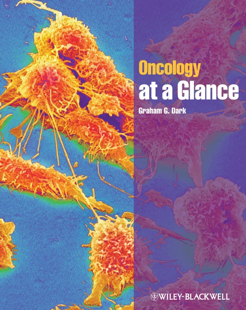 Cover image for book Oncology at a Glance