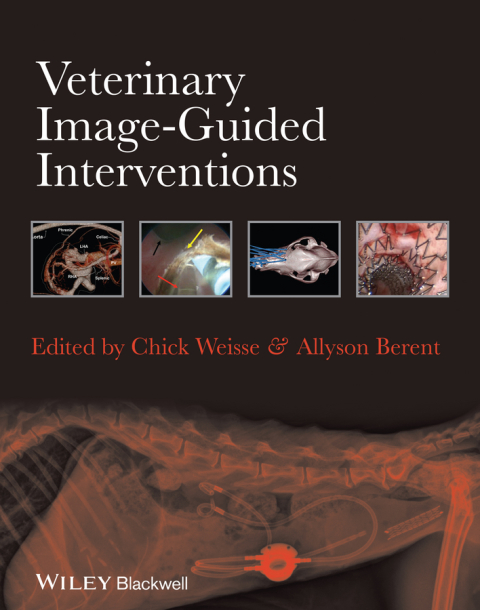 Cover image for book Veterinary Image-Guided Interventions