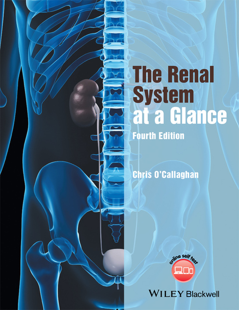 Cover image for book The Renal System at a Glance