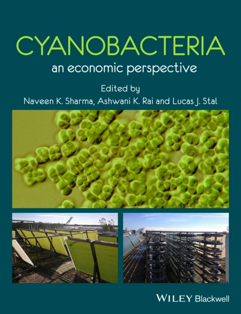 Cover image for book Cyanobacteria