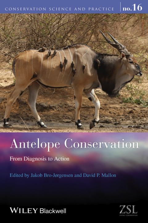 Cover image for book Antelope Conservation