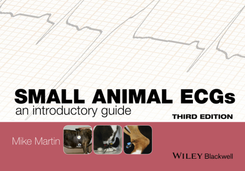 Cover image for book Small Animal ECGs
