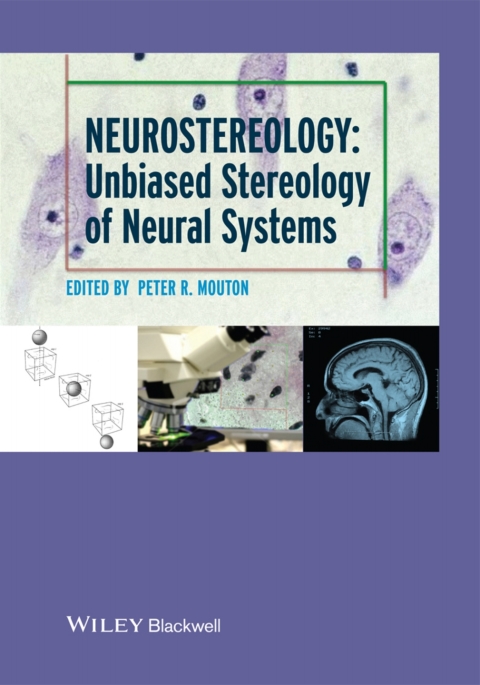 Cover image for book Neurostereology