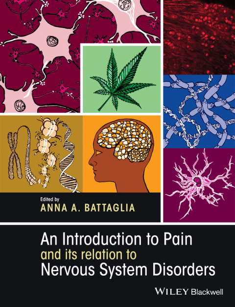Cover image for book An Introduction to Pain and its relation to Nervous System Disorders