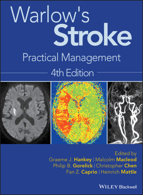 Cover image for book Warlow's Stroke