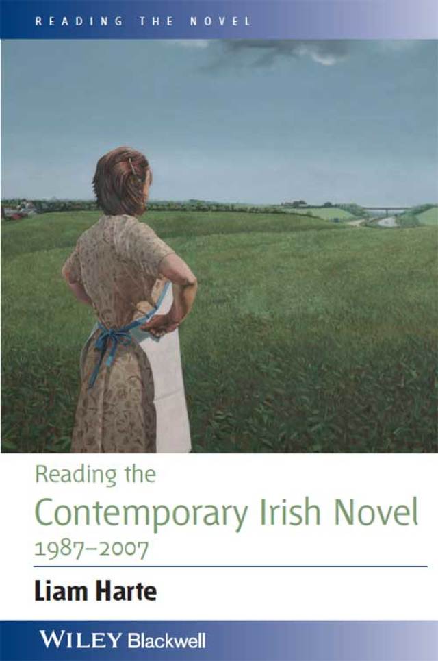 Reading the Contemporary Irish Novel 1987 - 2007