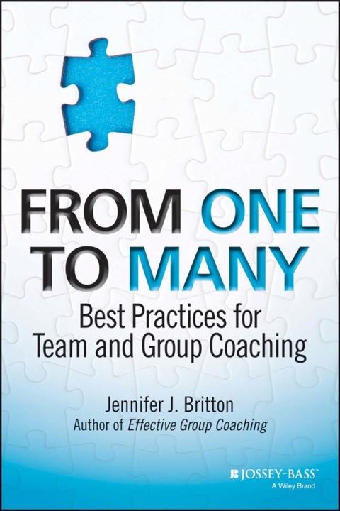 Cover image for book From One to Many: Best Practices for Team and Group Coaching