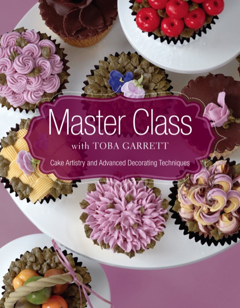 Cover image for book Master Class with Toba Garrett
