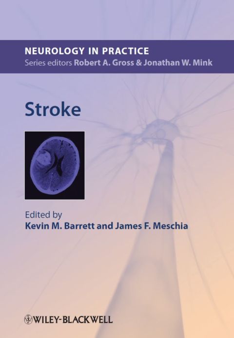 Stroke 