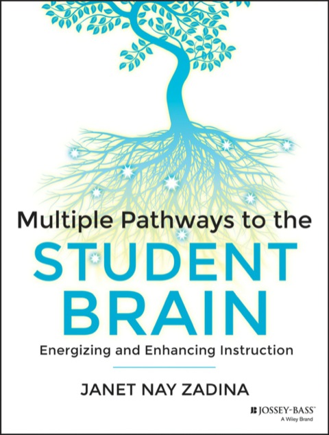 Cover image for book Multiple Pathways to the Student Brain: Energizing and Enhancing Instruction