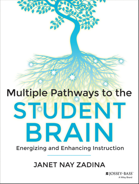 Cover image for book Multiple Pathways to the Student Brain
