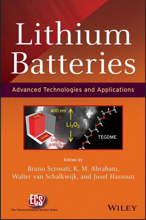 Cover image for book Lithium Batteries