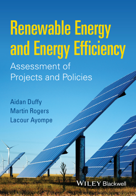 Cover image for book Renewable Energy and Energy Efficiency: Assessment of Projects and Policies