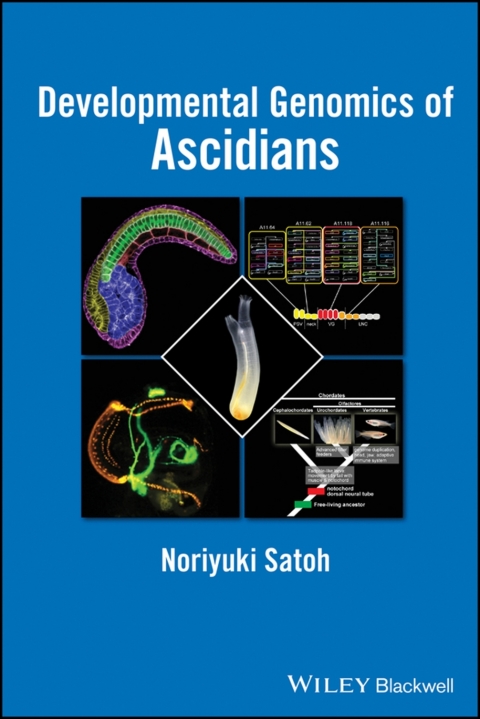 Cover image for book Developmental Genomics of Ascidians