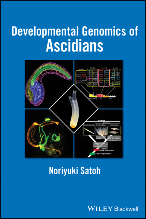 Cover image for book Developmental Genomics of Ascidians