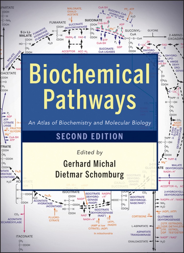 Biochemical Pathways an Atlas of Biochemistry and Molecular Biology