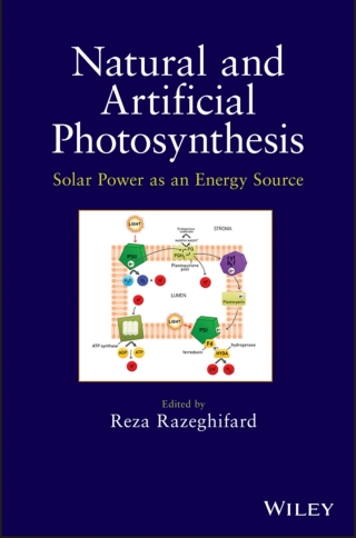 Natural and Artificial Photosynthesis