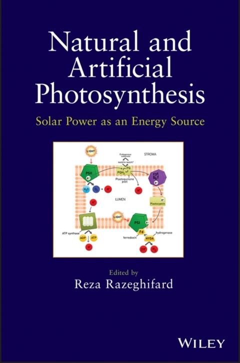 Cover image for book Natural and Artificial Photosynthesis