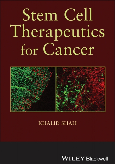 Cover image for book Stem Cell Therapeutics for Cancer