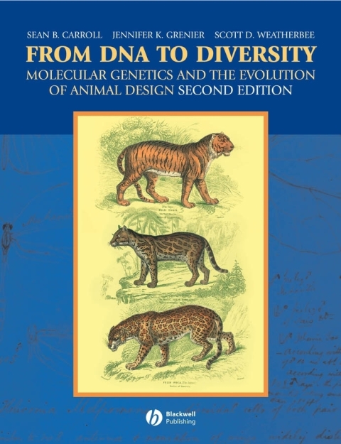 Cover image for book From DNA to Diversity