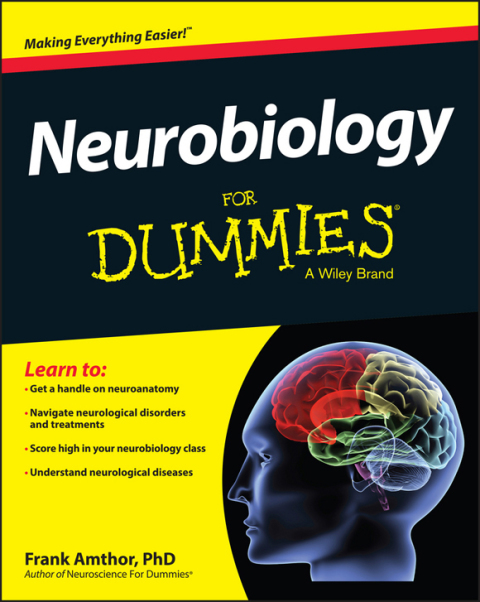 Cover image for book Neurobiology For Dummies