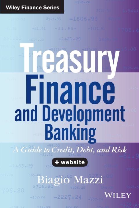 Cover image for book Treasury Finance and Development Banking
