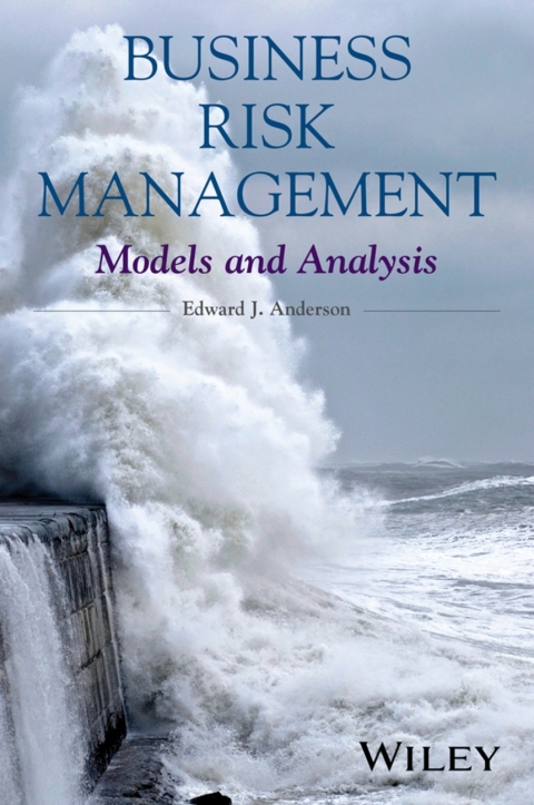 Cover image for book Business Risk Management: Models and Analysis