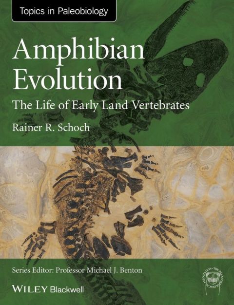Cover image for book Amphibian Evolution