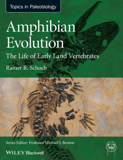 Cover image for book Amphibian Evolution