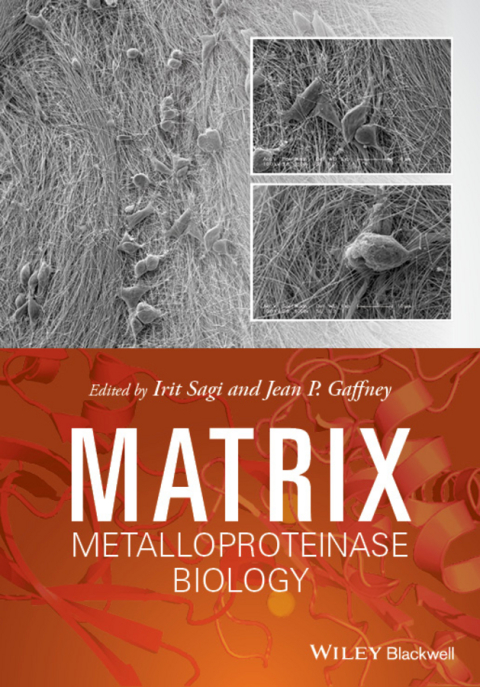 Cover image for book Matrix Metalloproteinase Biology