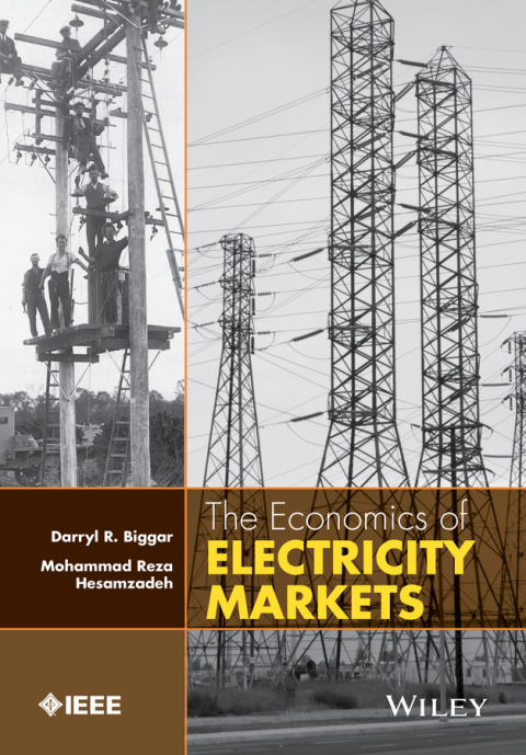 Cover image for book The Economics of Electricity Markets