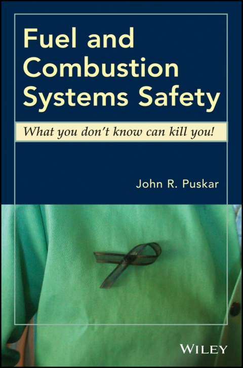 Cover image for book Fuel and Combustion Systems Safety