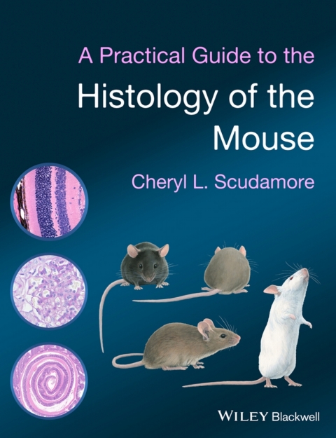 Cover image for book A Practical Guide to the Histology of the Mouse
