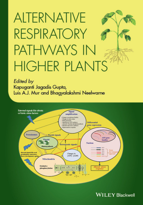 Cover image for book Alternative Respiratory Pathways in Higher Plants