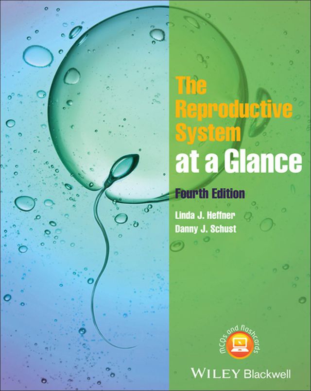 Reproductive System at a Glance