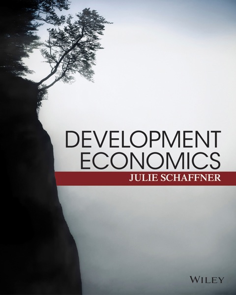 Cover image for book Development Economics: Theory, Empirical Research, and Policy Analysis