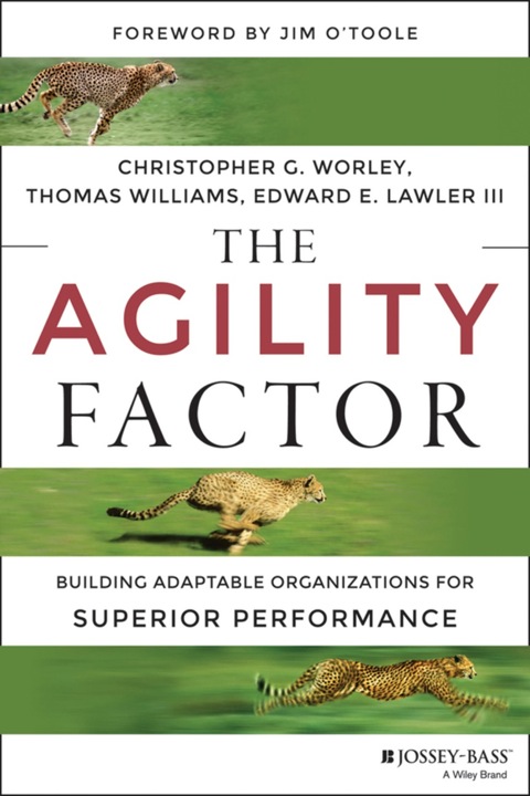 Cover image for book The Agility Factor: Building Adaptable Organizations for Superior Performance