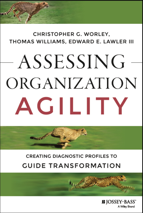 Cover image for book Assessing Organization Agility