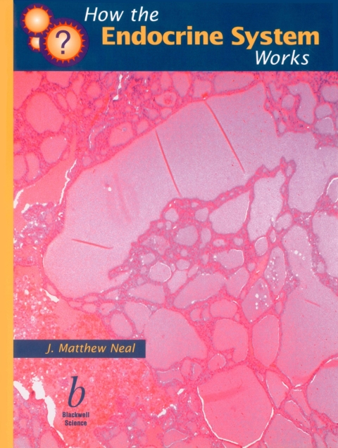 Cover image for book How the Endocrine System Works