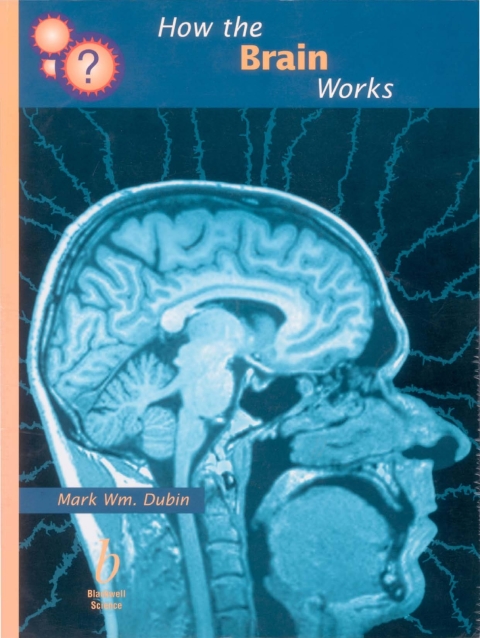 Cover image for book How the Brain Works