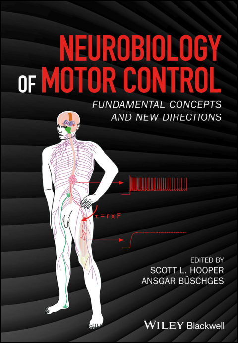 Cover image for book Neurobiology of Motor Control: Fundamental Concepts and New Directions