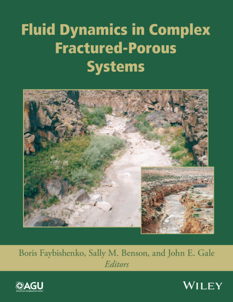 Cover image for book Fluid Dynamics in Complex Fractured-Porous Systems
