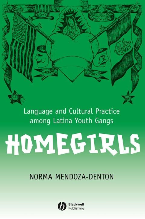 Cover image for book Homegirls