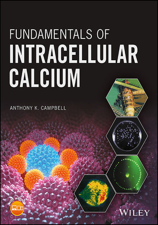 Fundamentals of Intracellular Calcium