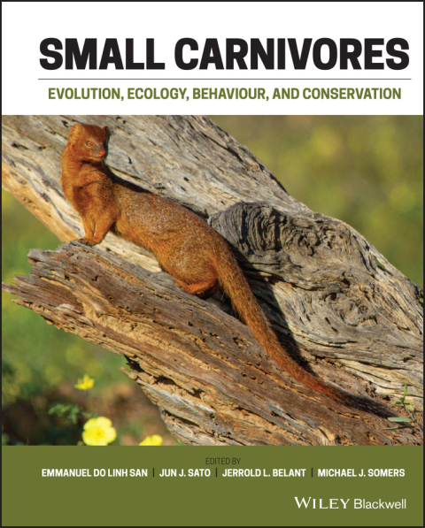 Cover image for book Small Carnivores: Evolution, Ecology, Behaviour and Conservation