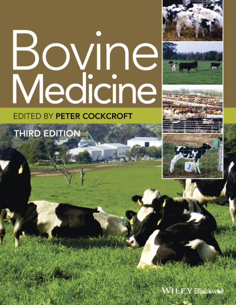 Cover image for book Bovine Medicine