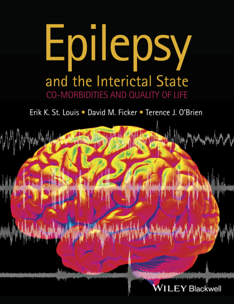Cover image for book Epilepsy and the Interictal State