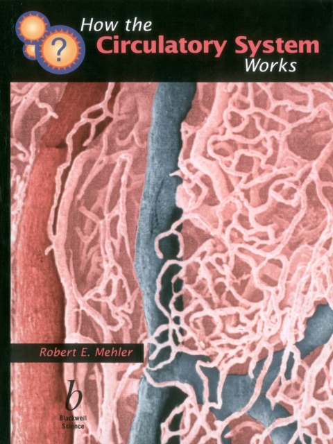 Cover image for book How the Circulatory System Works