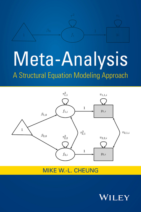 Cover image for book Meta-Analysis: A Structural Equation Modeling Approach